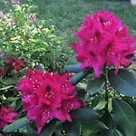 Havel Houseboat Serenity Úszó hotel