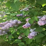 Havel Houseboat Serenity *
