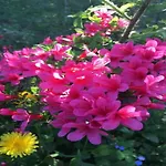 Úszó hotel Havel Houseboat Serenity *