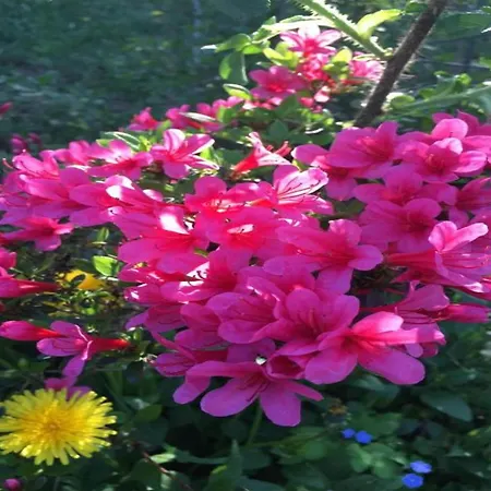 Πλωτό κατάλυμα Havel Houseboat Serenity *
