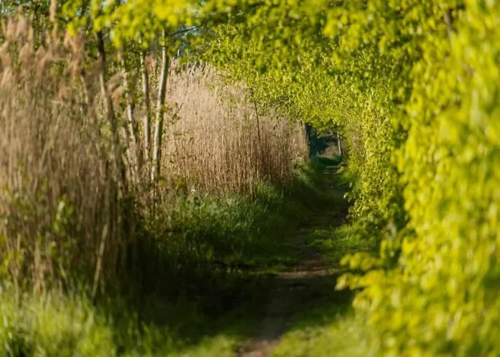 Havel Houseboat Serenity Zehdenick