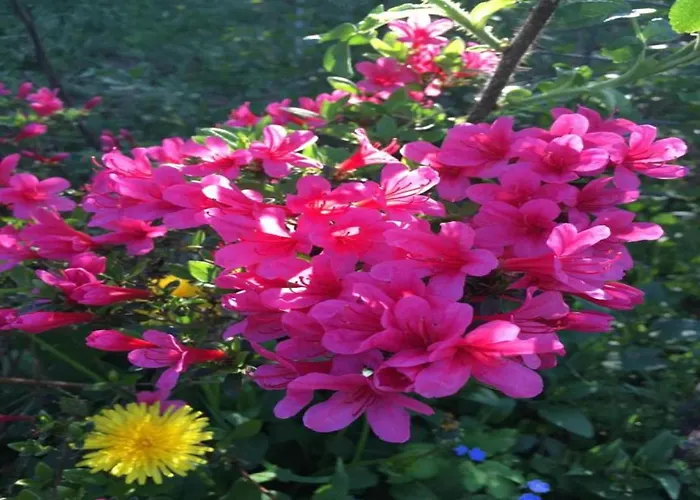 Hotel en barco Havel Houseboat Serenity *